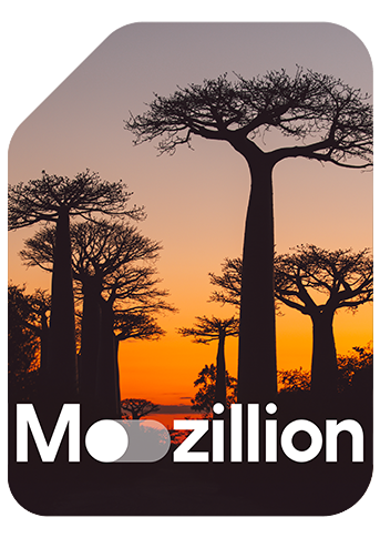 1761834317_Copertina SIM da viaggio Mozillion - Madagascar.png